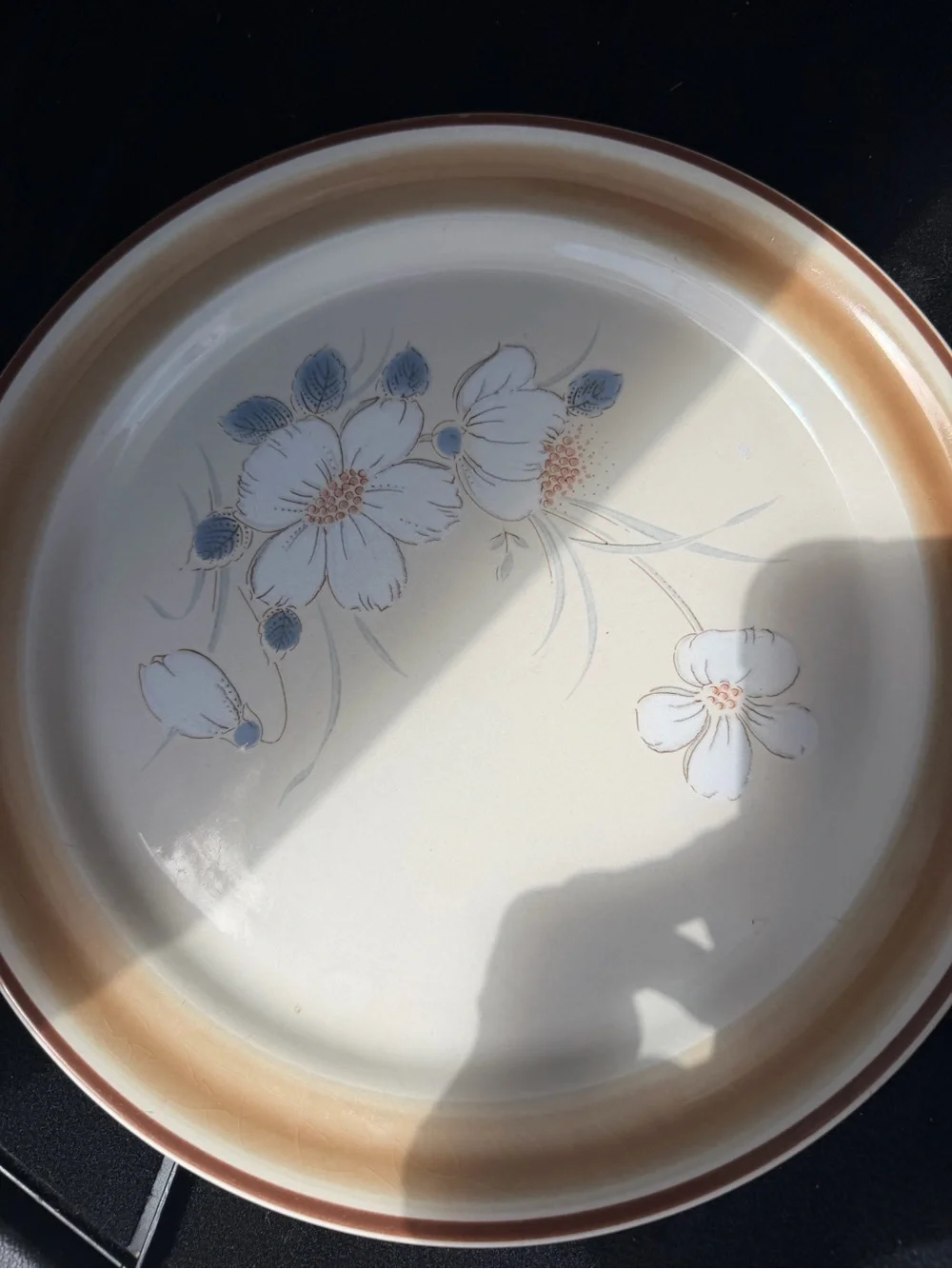9 vintage Hearthside Stoneware dinner plate